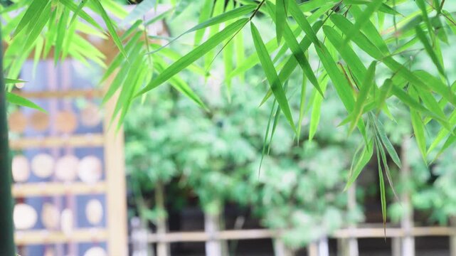 Green bamboo leaves frame a peaceful Japanese garden scene. In the soft bokeh background, wooden prayer charms hang on a traditional gate structure. Ideal for wellness and zen nature themes.