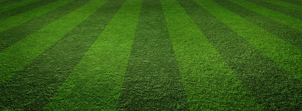 Empty striped 3d soccer, football field texture. Green grass texture - well-groomed turf in the garden or soccer stadium