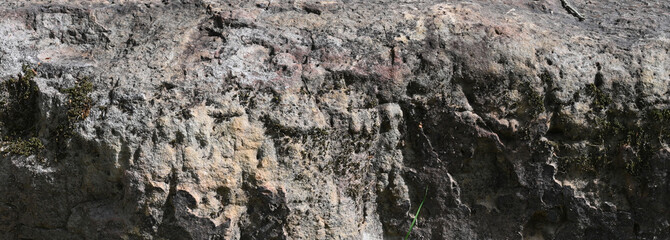 Fototapeta premium Close up view of rough, porous boulder surface with large cracks, natural stone patterns, geological texture and vegetation on the uneven rock