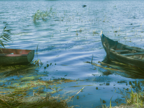 lake in the park