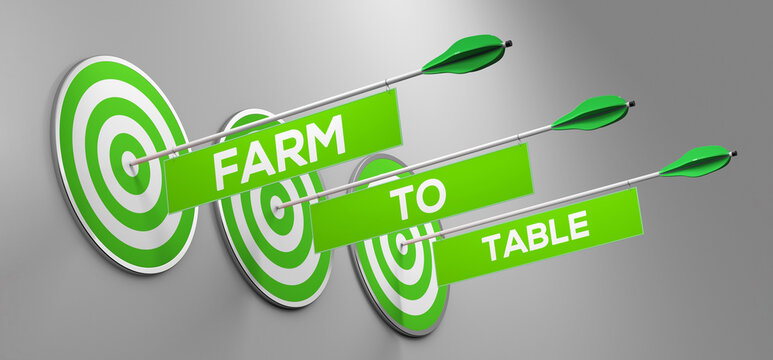 Gr&uuml;ner &bdquo;Farm to Table&ldquo; Schriftzug auf Pfeilen in Zielscheiben als Konzept