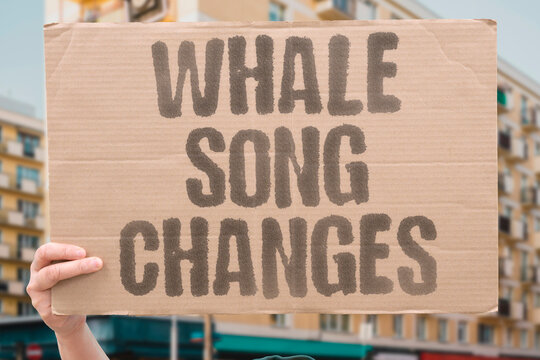 "Whale Song Changes" The acoustics of a melting ocean alter the calls, and the singers adapt or fade. ARCTIC ICE MELT. OCEAN ACOUSTICS. WHALE VOCALIZATION. BEHAVIORAL ADAPTATION. MARINE NOISE.