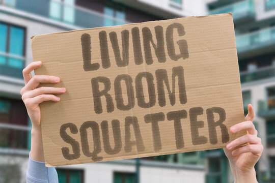 "Living Room Squatter" He sleeps on the couch, claims it's his bed. Roommate conflict. Common space. Sleep arrangement. Boundary blur. Daily tension.