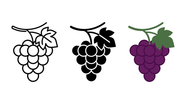 Grape cluster icon with leaves vineyard illustration viticulture silhouette agriculture