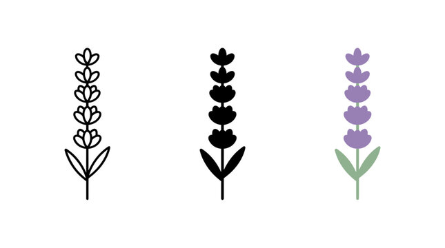 Single lavender flower icon in outline silhouette and color variants with lavender, botanical