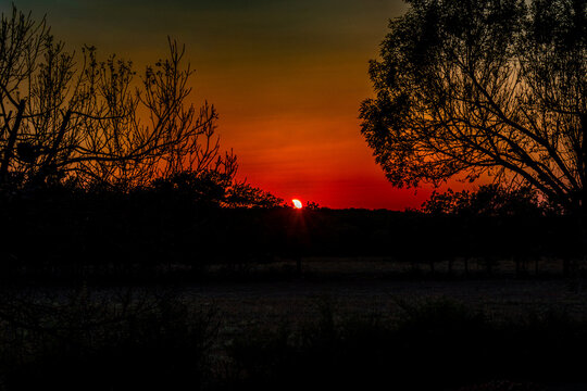 Partial Solar Eclipse Sunset Framed By Silhouetted Trees In Crimson Sky