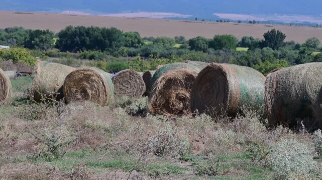 A slow zoom-in on a row of round hay bales wrapped in green netting, set against a vast agricultural landscape with rolling hills and distant mountains under a clear blue sky.