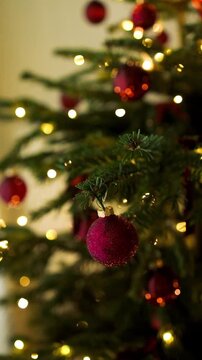 Festive video of a beautiful Christmas tree branch adorned with a shiny red ball ornament and shimmering fairy lights with soft bokeh background.