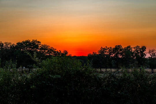 Sunset Sky With Vibrant Orange and Red Gradient Over Dark Tree Line