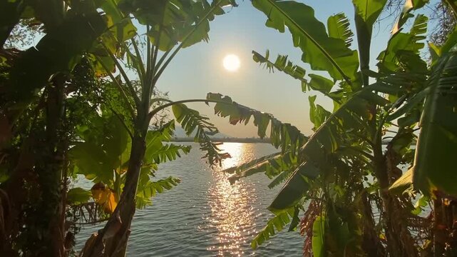 Palm trees sway as sunlight glitters across the Shire River in Liwonde National Park.