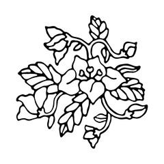 Fototapeta premium hand drawn flower