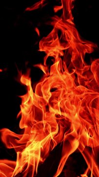 Large campfire rising up in the dark night. Dangerous flames lean to the side in the wind. Vertical video