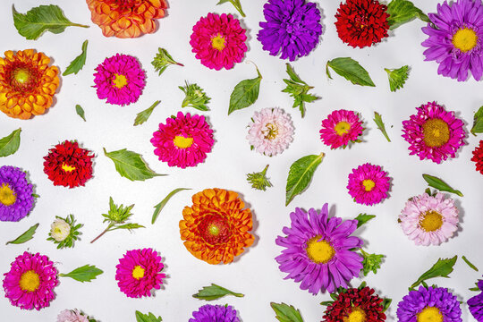 Autumn flowers flatlay background