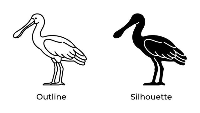 Spoonbill Iconography: Two stark graphic representations of a spoonbill bird, one an outline and the other a solid silhouette, showcasing its distinctive flat beak.