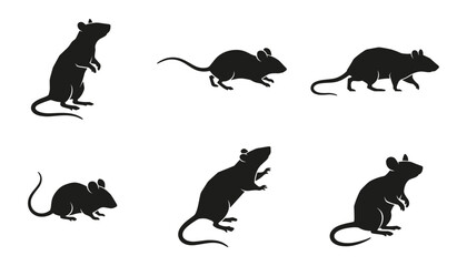 Fototapeta premium Black Rat Silhouette Icon Set Featuring Rodent Characters in Various Poses for Pest Control Signage and Creative Graphic Designs