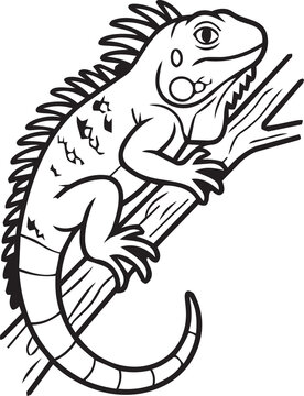 Iguana Lizard Perched on Tree Branch Line Art Vector Illustration