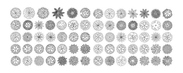 Fototapeta premium Top view tree CAD vector set. Thin line landscape tree symbols in plan view for architectural site plans, landscape design, garden layouts, urban planning and CAD drawings