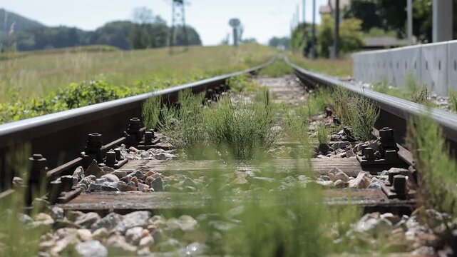 A close-up view of train tracks with wooden ties, stone ballast, and weeds sprouting between the rails, lit by bright natural sunlight.