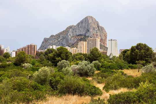 View of the Penon de Ifach limestone rock rising above the modern skyline and lush Mediterranean vegetation in Calp, Valencian Community, Spain.