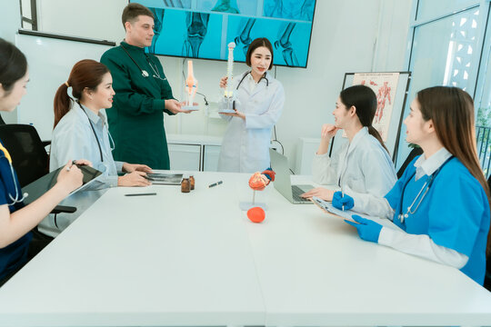 Group of diverse medical doctors and specialists discussing anatomical models during clinical seminar
