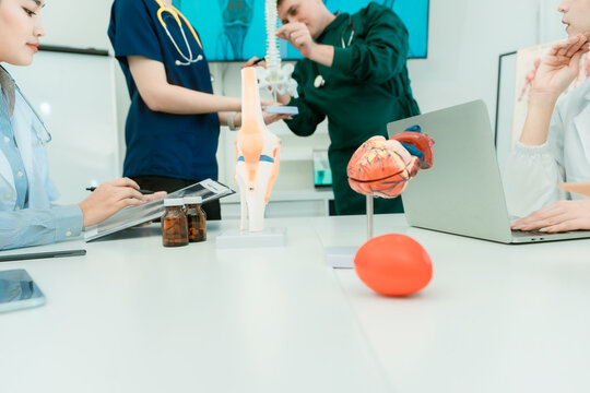 Group of diverse medical doctors and specialists discussing anatomical models during clinical seminar