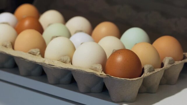 Farm Fresh Colorful Chicken Eggs in Carton Slow Zoom In