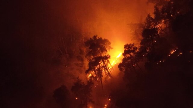 A dramatic night aerial view of a raging wildfire burning fiercely through a pine forest, with bright flames and heavy smoke.