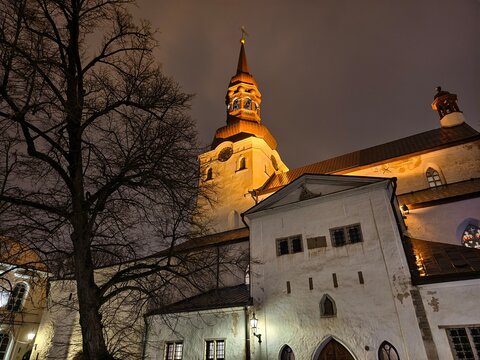 Low angle night view of illuminated St Mary's Cathedral (Dome Church) tower and bare winter tree in Tallinn, Estonia.