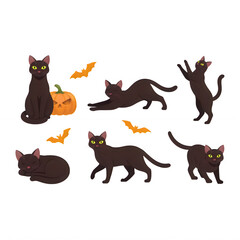 Obraz premium Black cats with pumpkins and bats during Halloween season isolated on transparent background