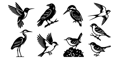 Obraz premium Set of black silhouette birds, including hummingbirds, crows, kingfishers, swallows, herons, and sparrows in various poses