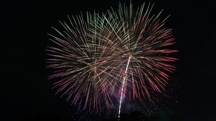 Fototapeta premium Vibrant Colorful Fireworks Displaying over the Night Sky during Japanese Summer Hanabi Festival