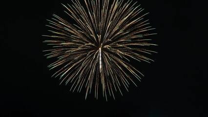 Fototapeta premium Vibrant Colorful Fireworks Displaying over the Night Sky during Japanese Summer Hanabi Festival