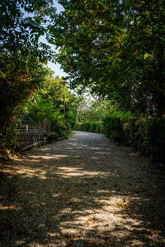 Peaceful Winding Gravel Path in a Public Park under a Canopy of Trees