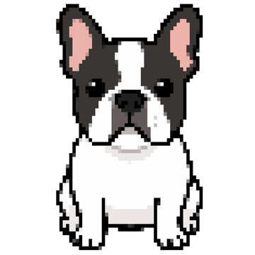 Cute pixel art French bulldog puppy sitting isolated on white background vector illustration