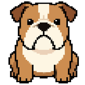 Cute pixel art bulldog puppy sitting isolated on white background vector illustration