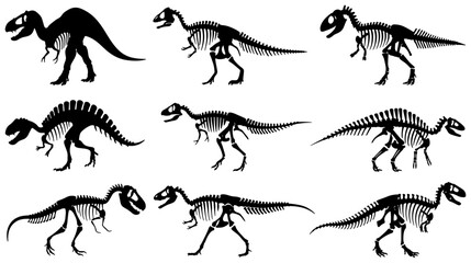 Dinosaur Skeletons Vector Set: Prehistoric Reptile Anatomy Illustrations, Paleontology Icons for Science Education and Museum Graphics © Zubaraj