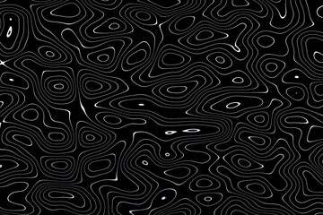 Abstract black and white topographic map contour lines background © Onnu_jee