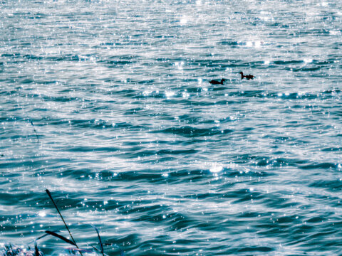 blue water surface