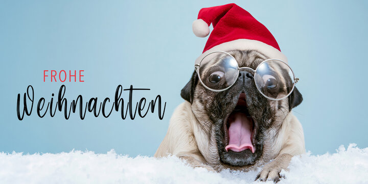 Frohe Weihnachten Tier Konzept Gru&szlig;karte Postkarte lang mit deutschem Text - Cooles lustiger Mops Hund mit Nikolausm&uuml;tze oder Weihnachtsmannm&uuml;tze, isoliert auf blauem Hintergrund