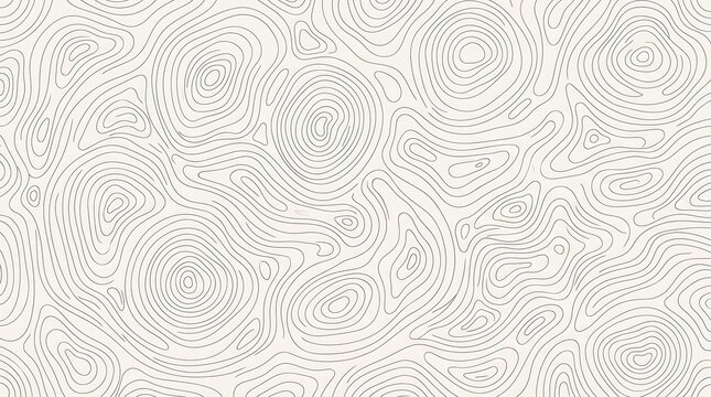 Minimalist Topographic Contour Line Map Pattern, Grey and White Seamless Cartography Vector Texture, Geometric Abstract Background Design for Web and Print