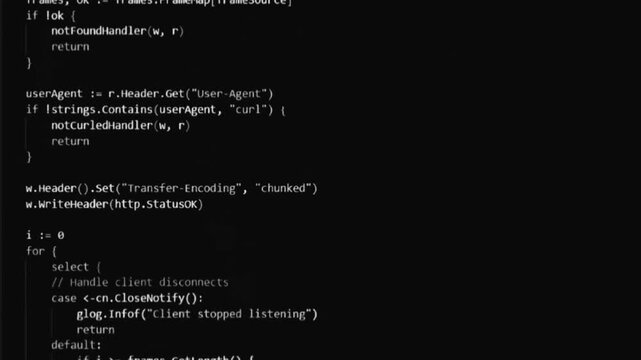 Go programming language source code displayed on a dark computer screen editor
