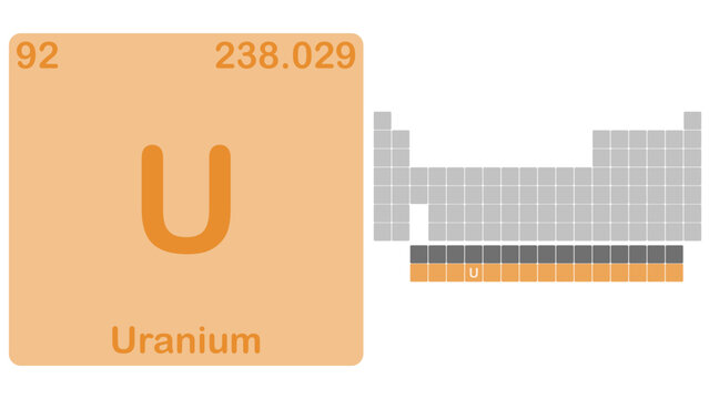 Illustrazione vettoriale di Tabella periodica degli elementi con evidenza dell'elemento chimico Uranio