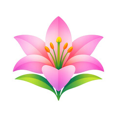 Fototapeta premium PNG Vibrant pink lily illustration