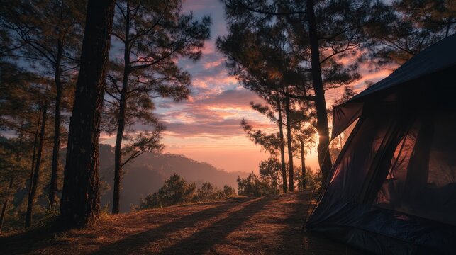 Serene Forest Campsite at Sunset with Mountain Views.