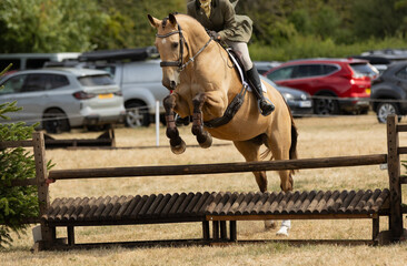 Horse and rider jumping a rustic wooden jump in a Working Hunter Class during an equestrian competition at an outdoor horse show. The horse is captured mid-jump over a timber fence on a dry summer gra © Piaffe Photography