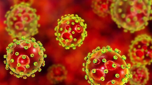 Lassa virus particles, 3D animation illustrating a viral haemorrhagic fever pathogen causing severe systemic illness and outbreaks in West Africa, transmitted via rodent reservoirs.