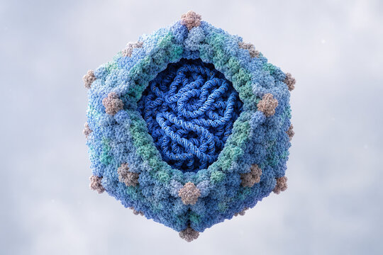 Icosahedral viral capsid cross section with DNA cargo
