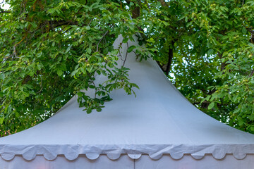 Tent covered by green branches in a garden setting during daytime © funkenzauber