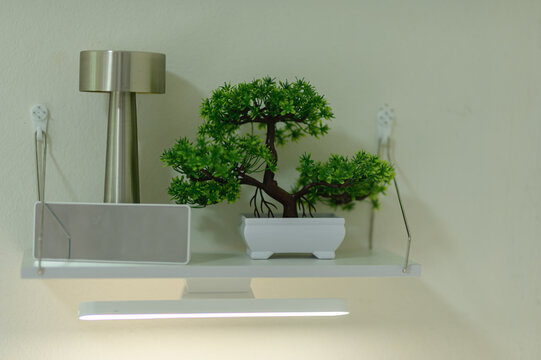 Minimalist home decor with potted bonsai tree and modern lamp on floating shelf