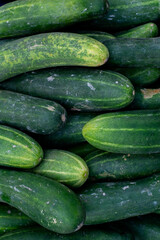 Close-up of fresh cucumbers with smooth, green skin piled together on display at a market. Vibrant color and crisp appearance convey freshness and quality, ideal for healthy eating and market scenes. © Muhammad Zainur